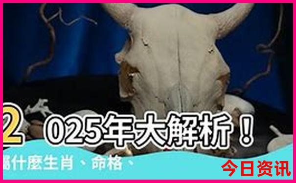 青岛夏天凉快的地方